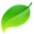 Coda icon