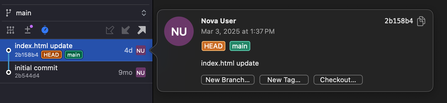 Viewing more details for a particular commit. Viewing more details for a particular commit.