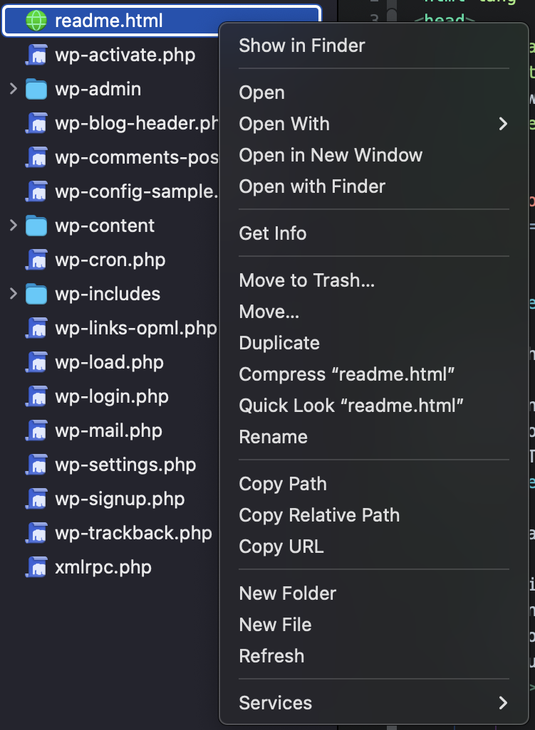 The context menu in the Files Sidebar.