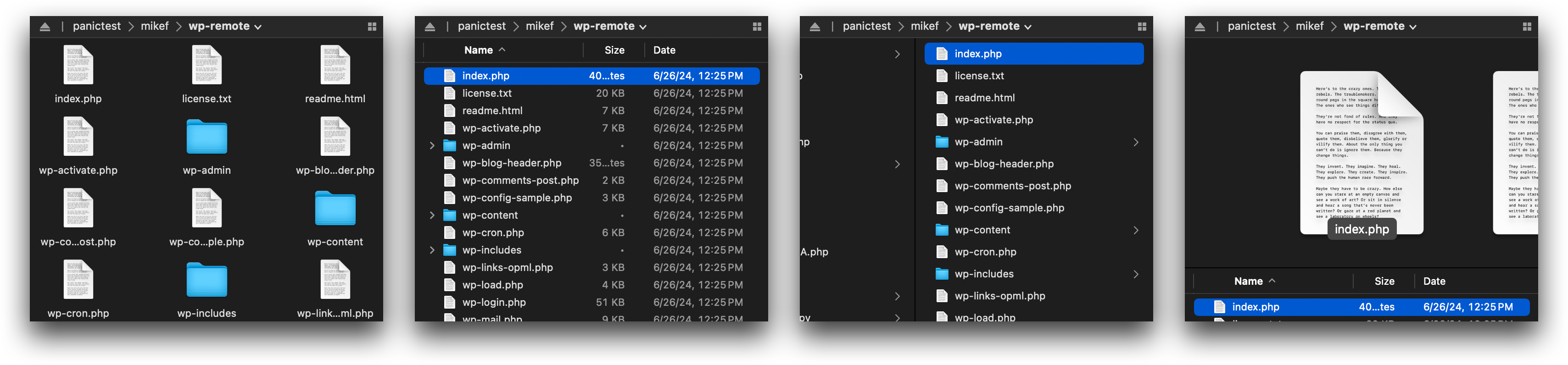 In order: Grid View, List View, Column View, and Gallery View.