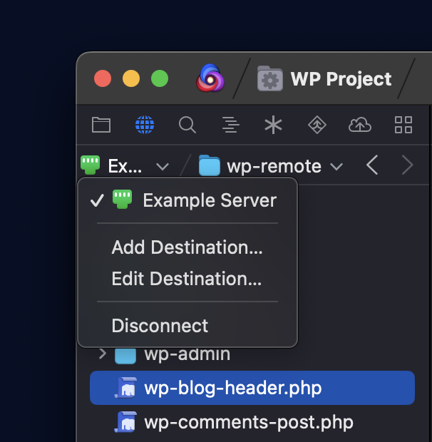 Selecting a Remote Files destination in the Remote Sidebar. Selecting a Remote Files destination in the Remote Sidebar.