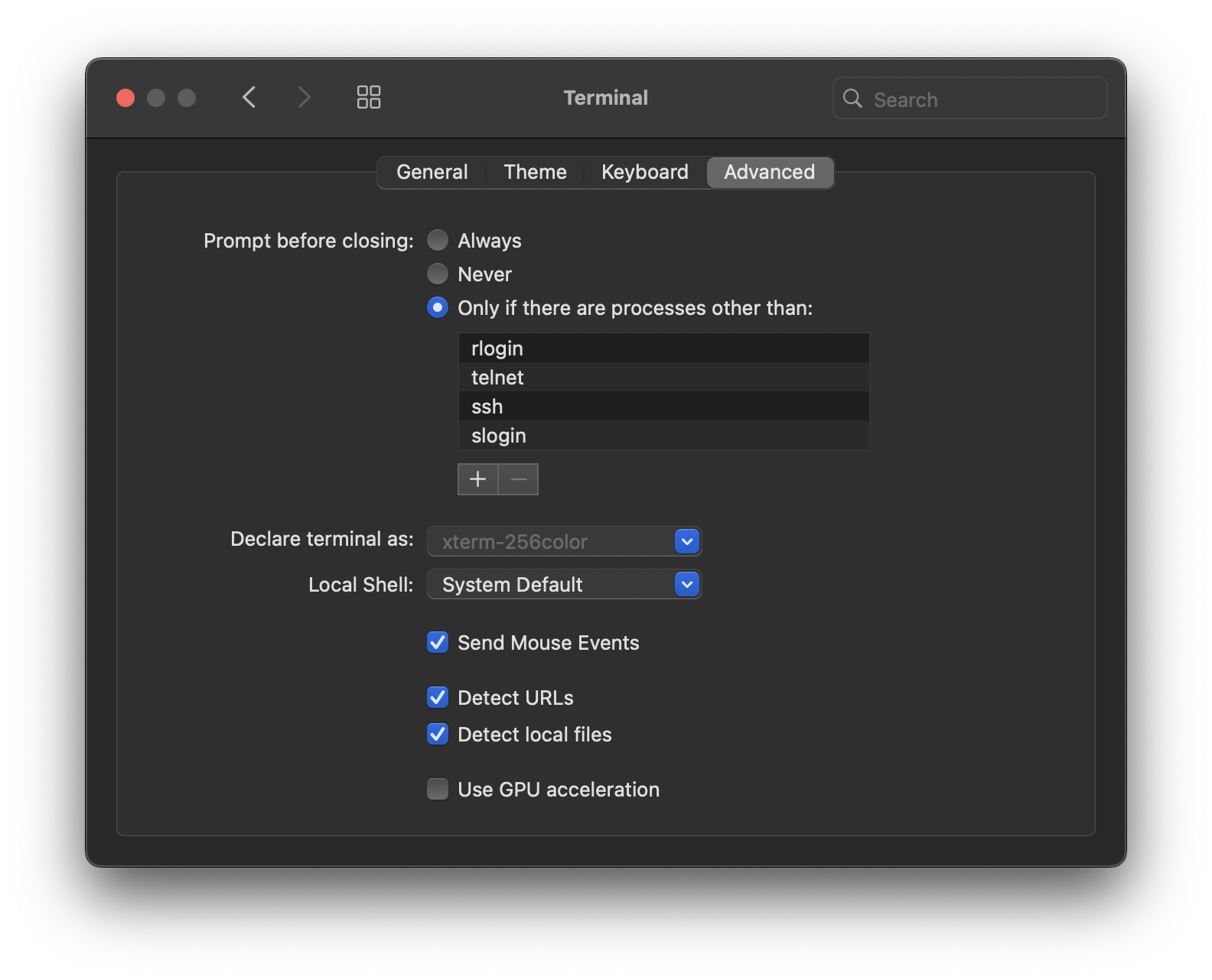The Terminal > Advanced settings pane. The Terminal > Advanced settings pane.